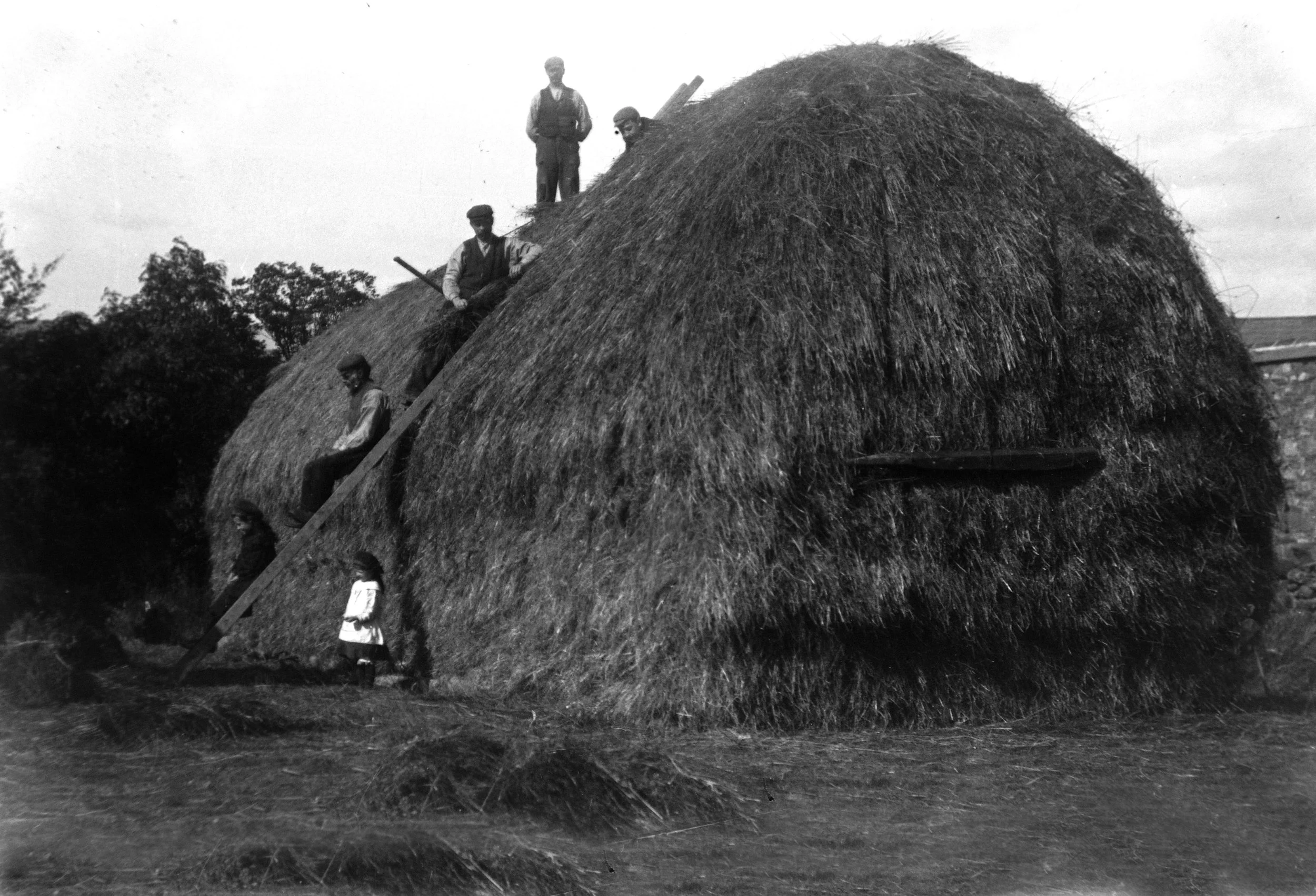 UF-invert36 - Copy.jpg