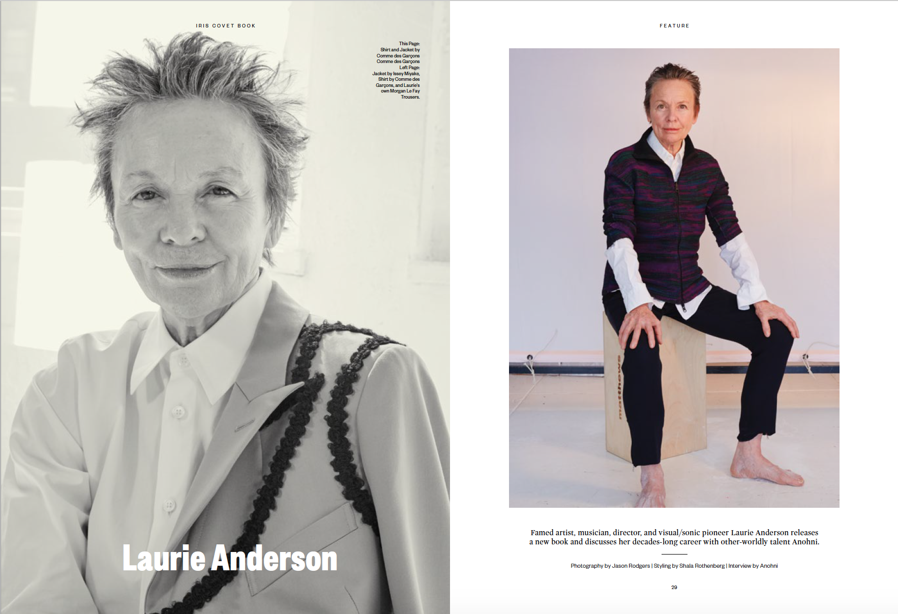 laurie_anderson_1.png