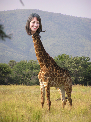 Giraffe bri2.png