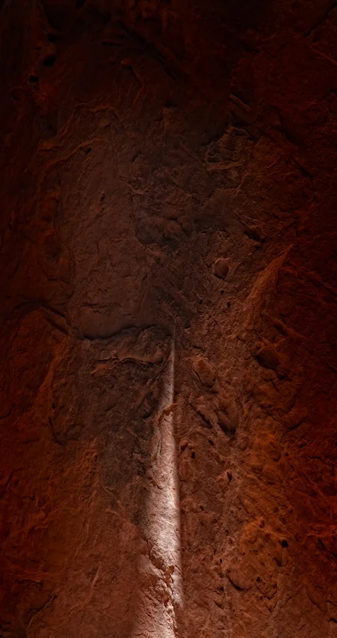 49.jpg