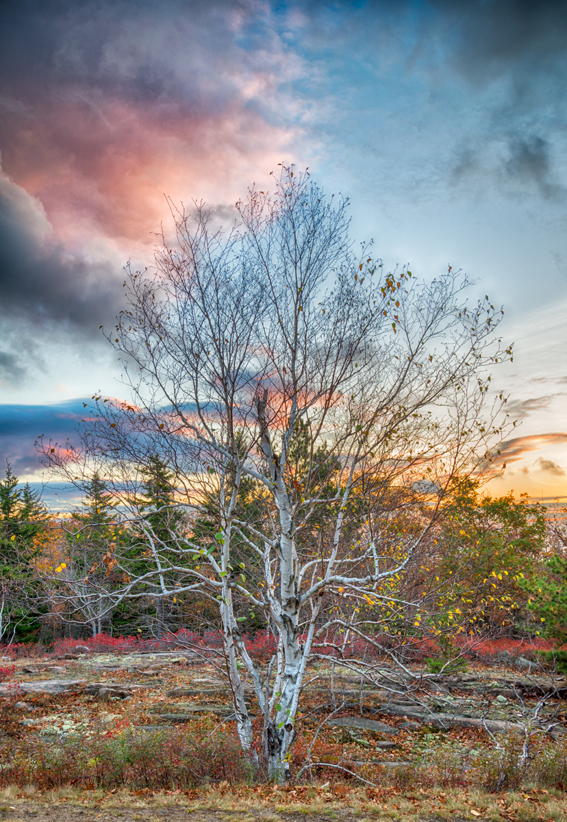 DSC_5203-as-Smart-Object-1.jpg