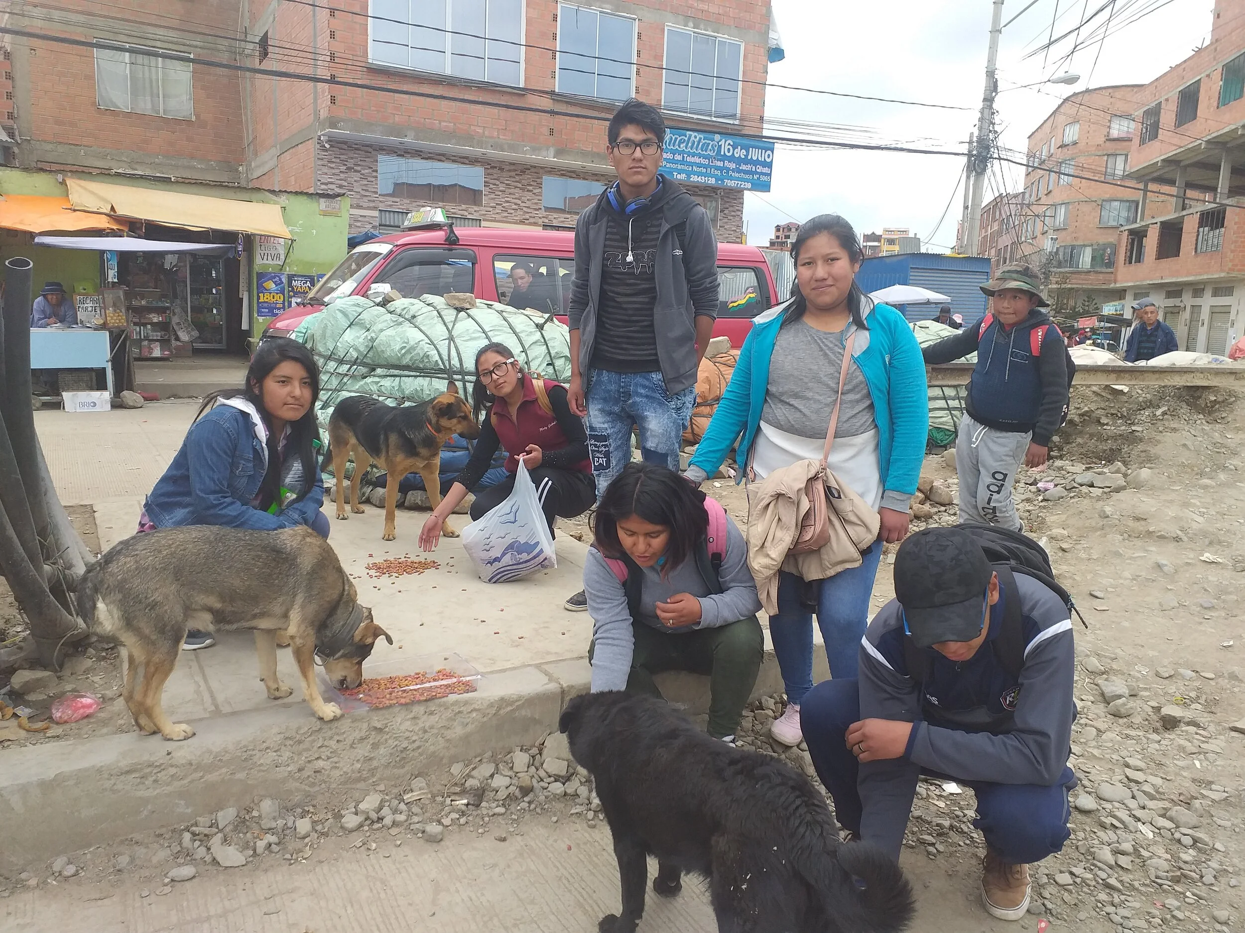 Nuestros estudiantes realizando un voluntariado con otras organizaciones de protección animal. Incentivamos un desarrollo integral solidario.