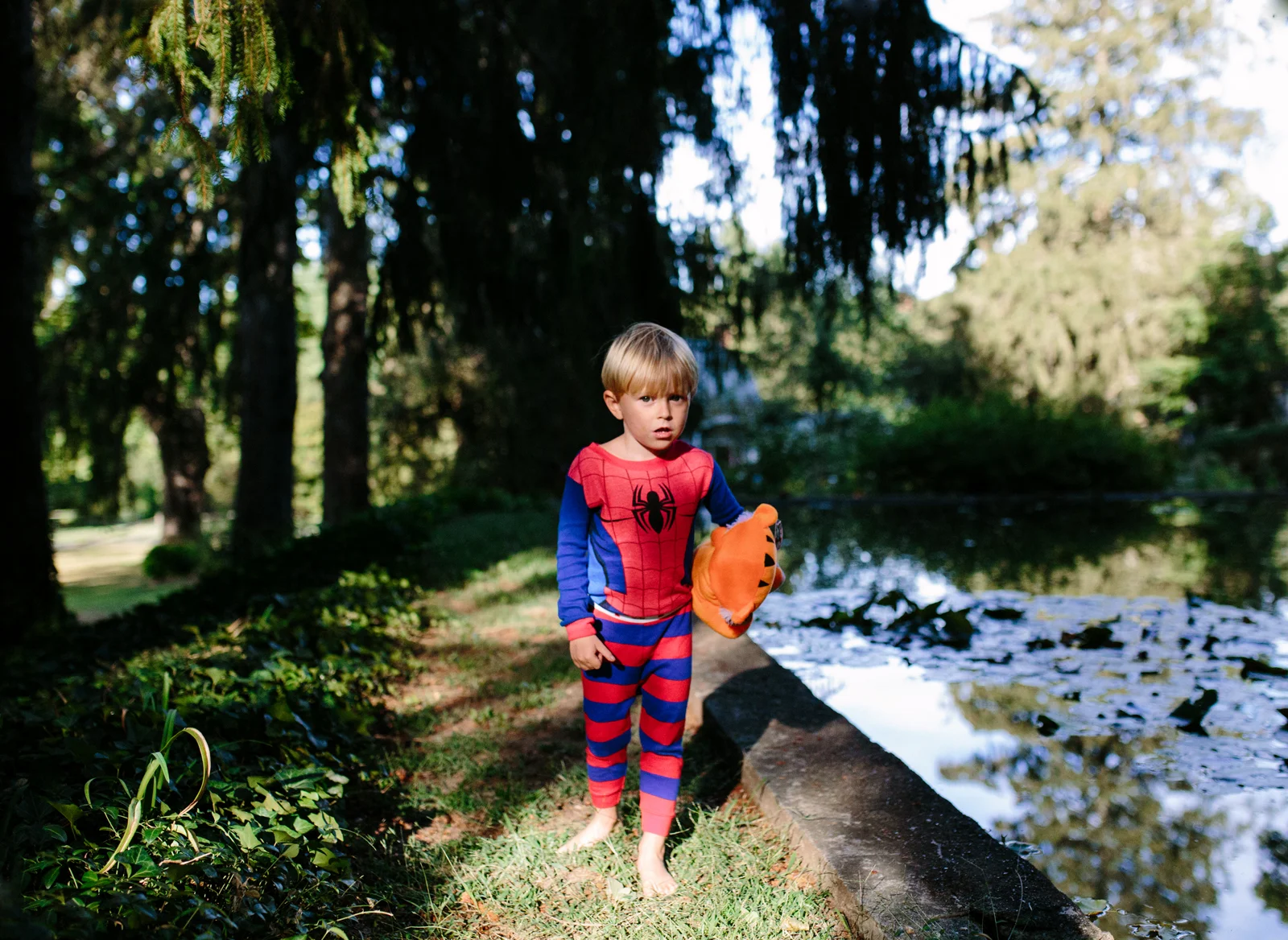 Spiderman-Boy-b.jpg
