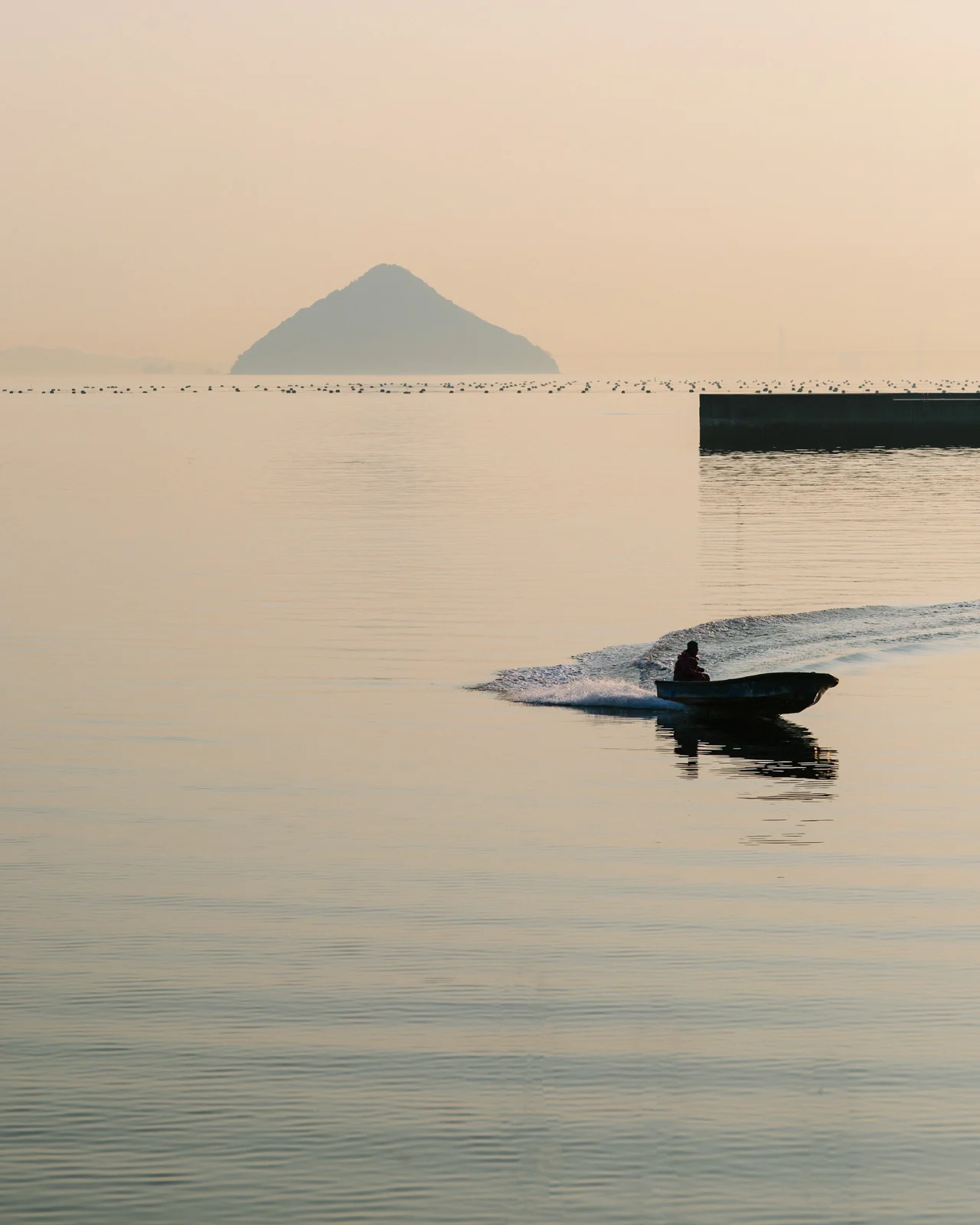 Naoshima-336A7182 2.jpg