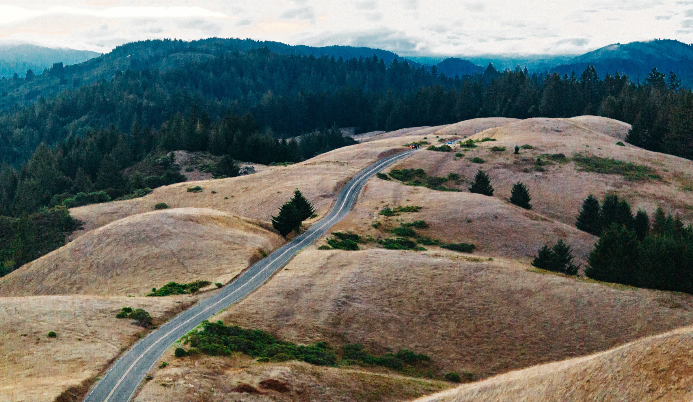 Mt-Tam-Wide-View-336A6059.jpg