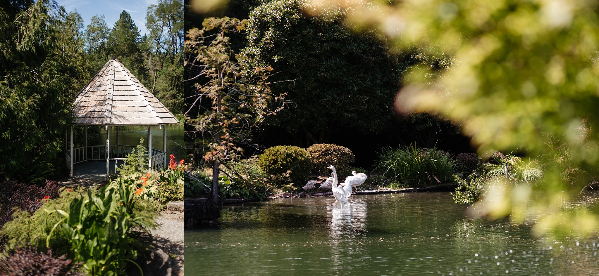 Elegant Wedding At Lakeside Gardens In Portland Malina Rose