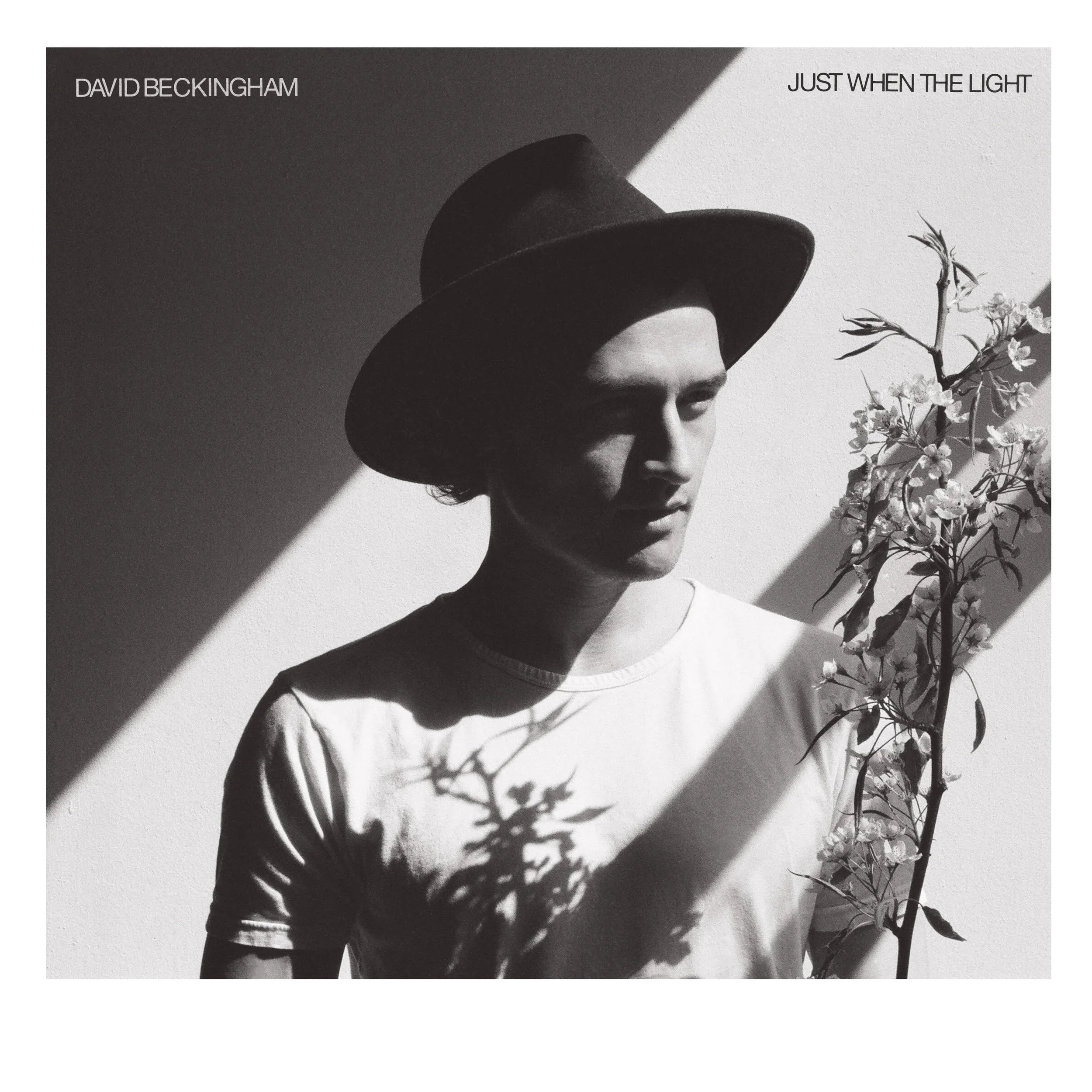 Just When The Light CD