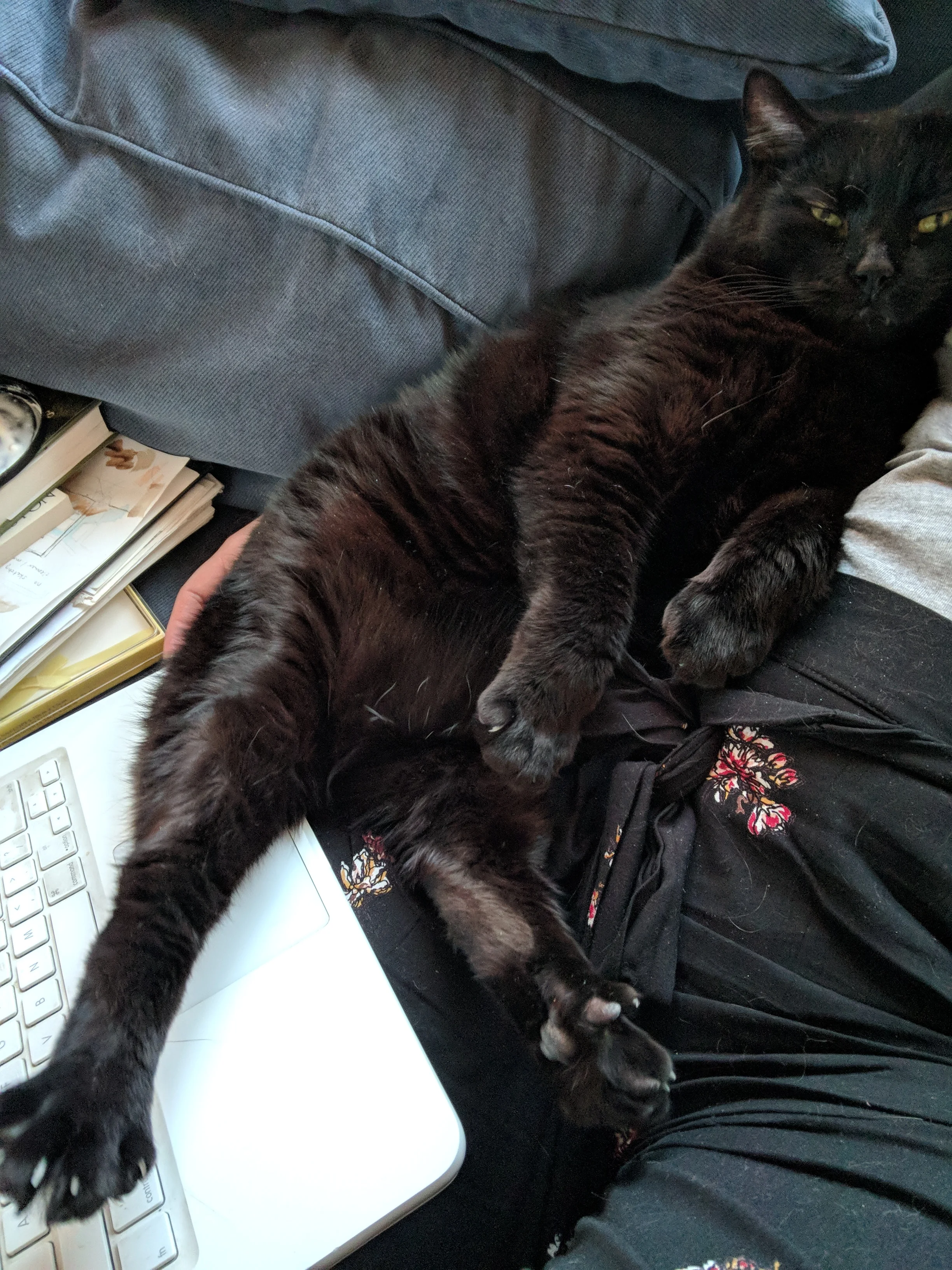 Butters and I, hard at work.
