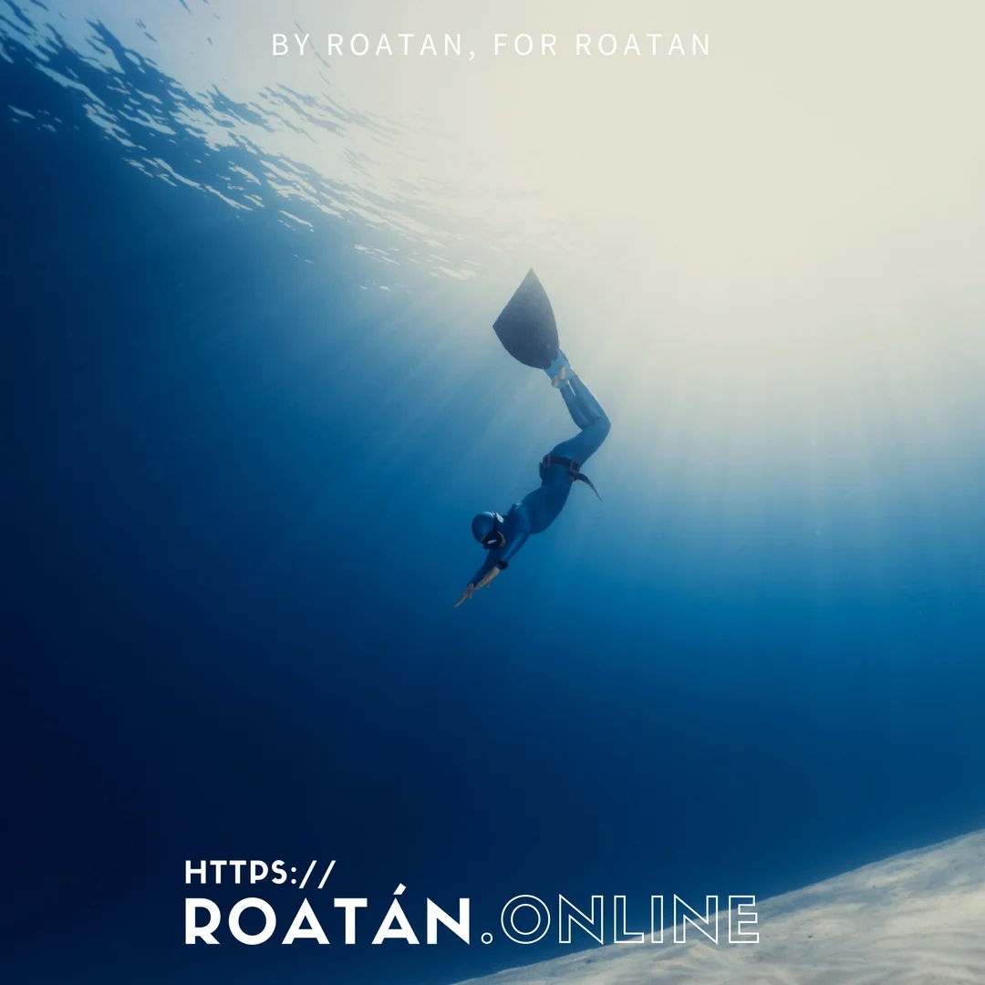 Freediving in Roatan.jpg