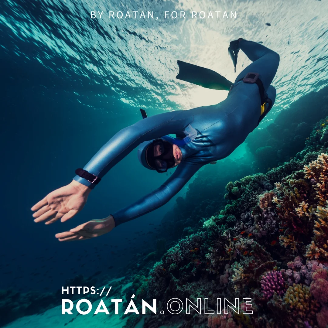 Freediving in West End.jpg