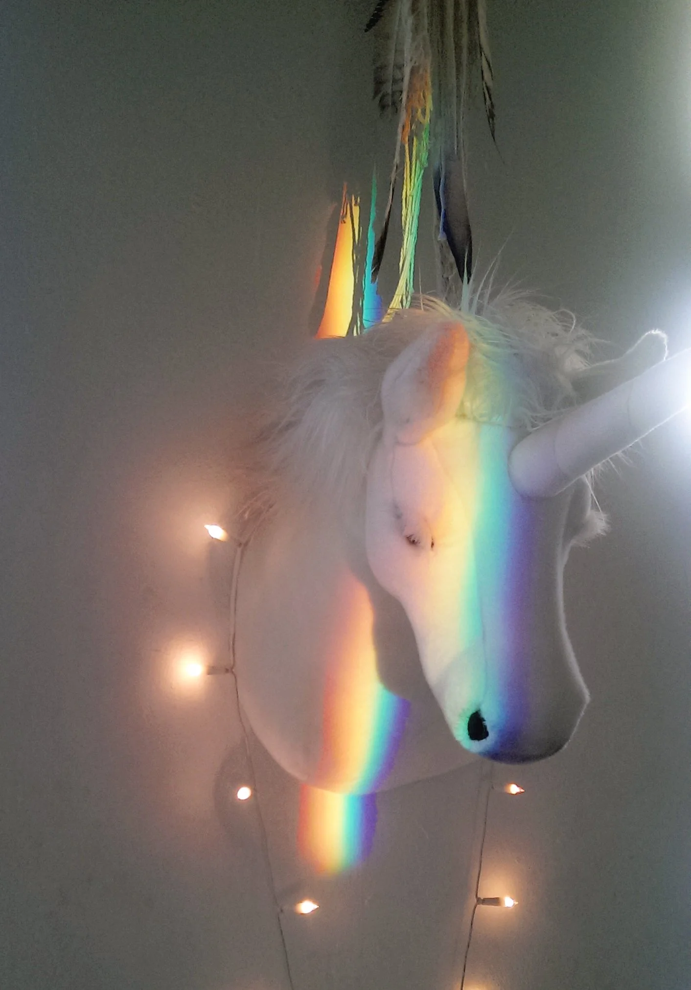 IMAG0981.jpg