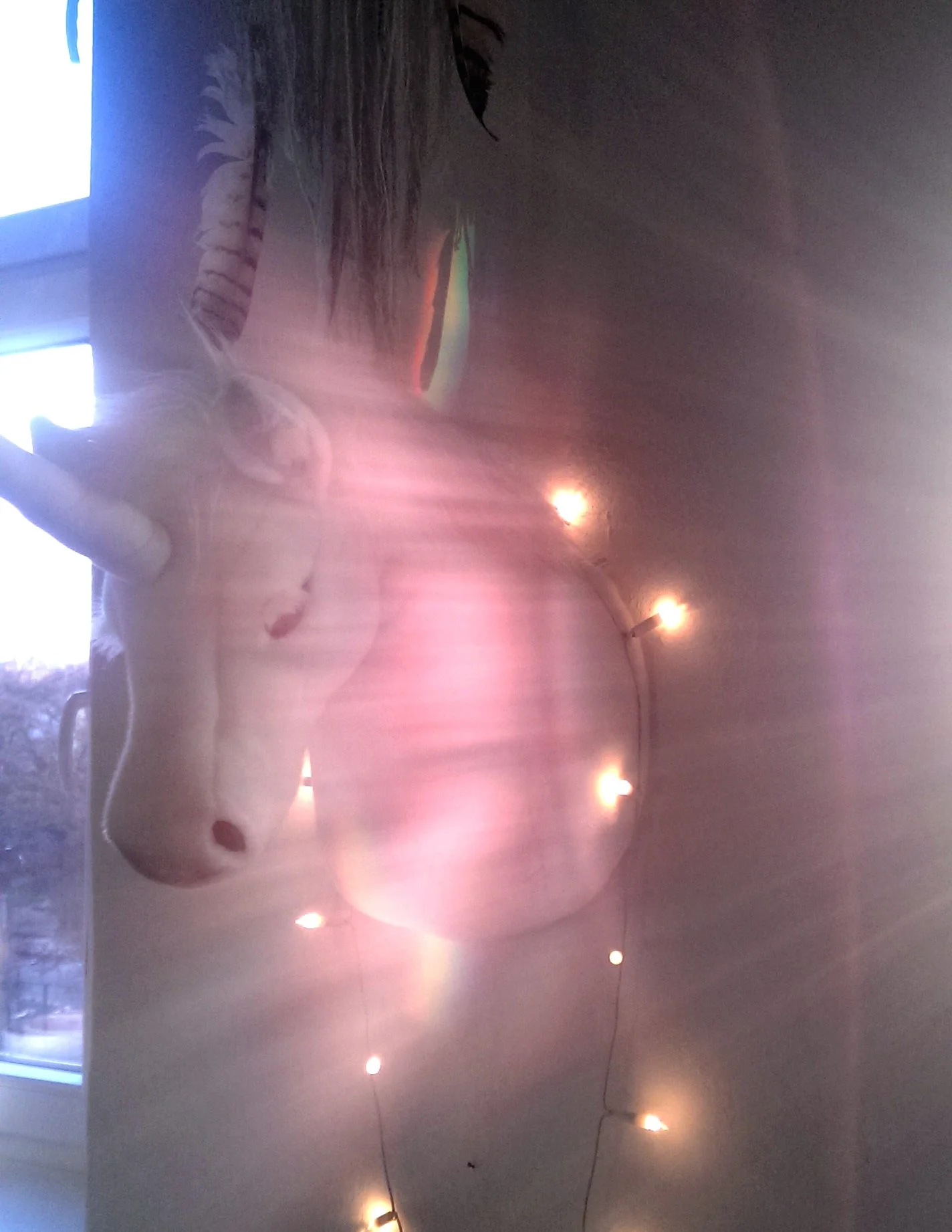 IMAG0988.jpg