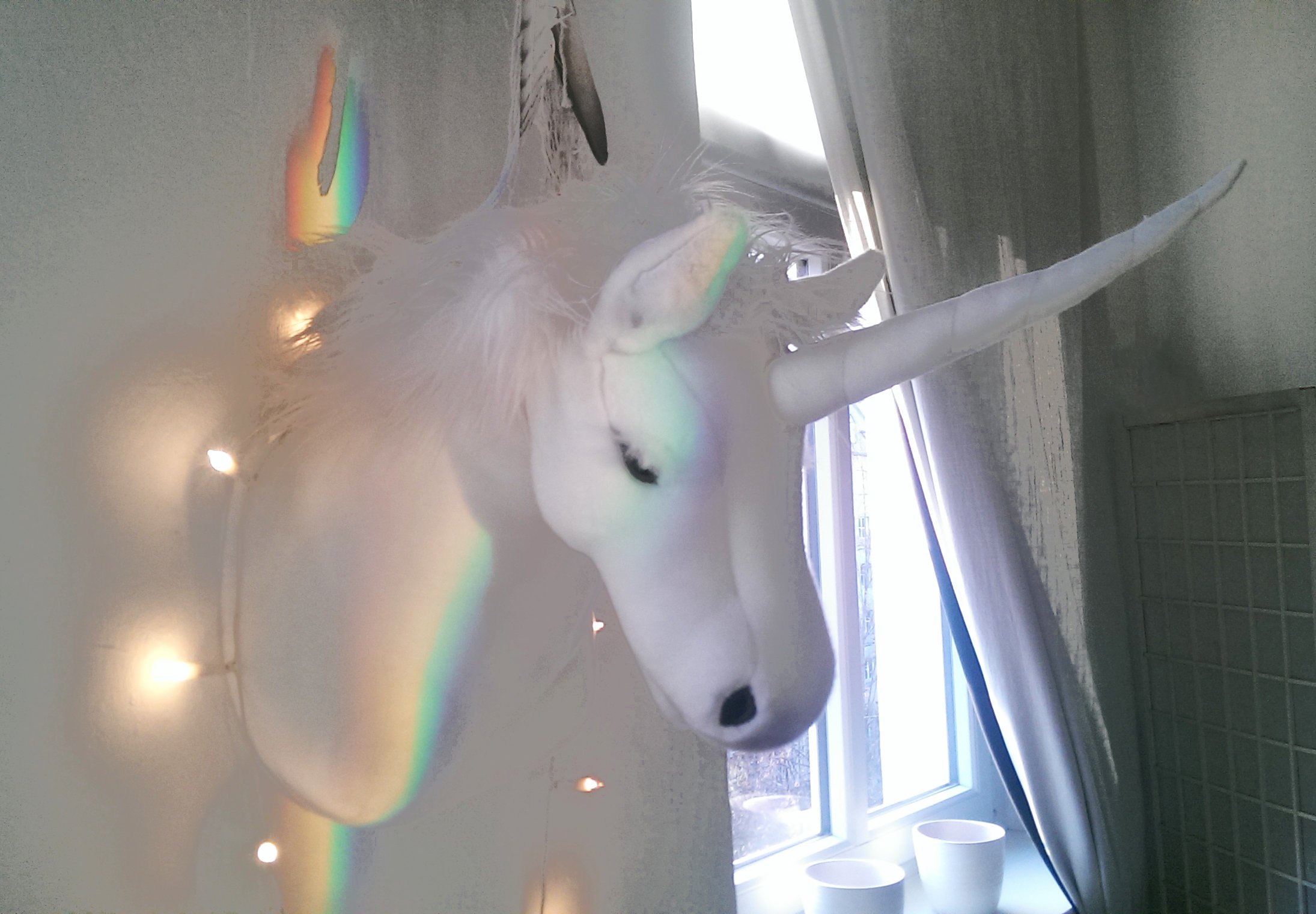 IMAG0991.jpg