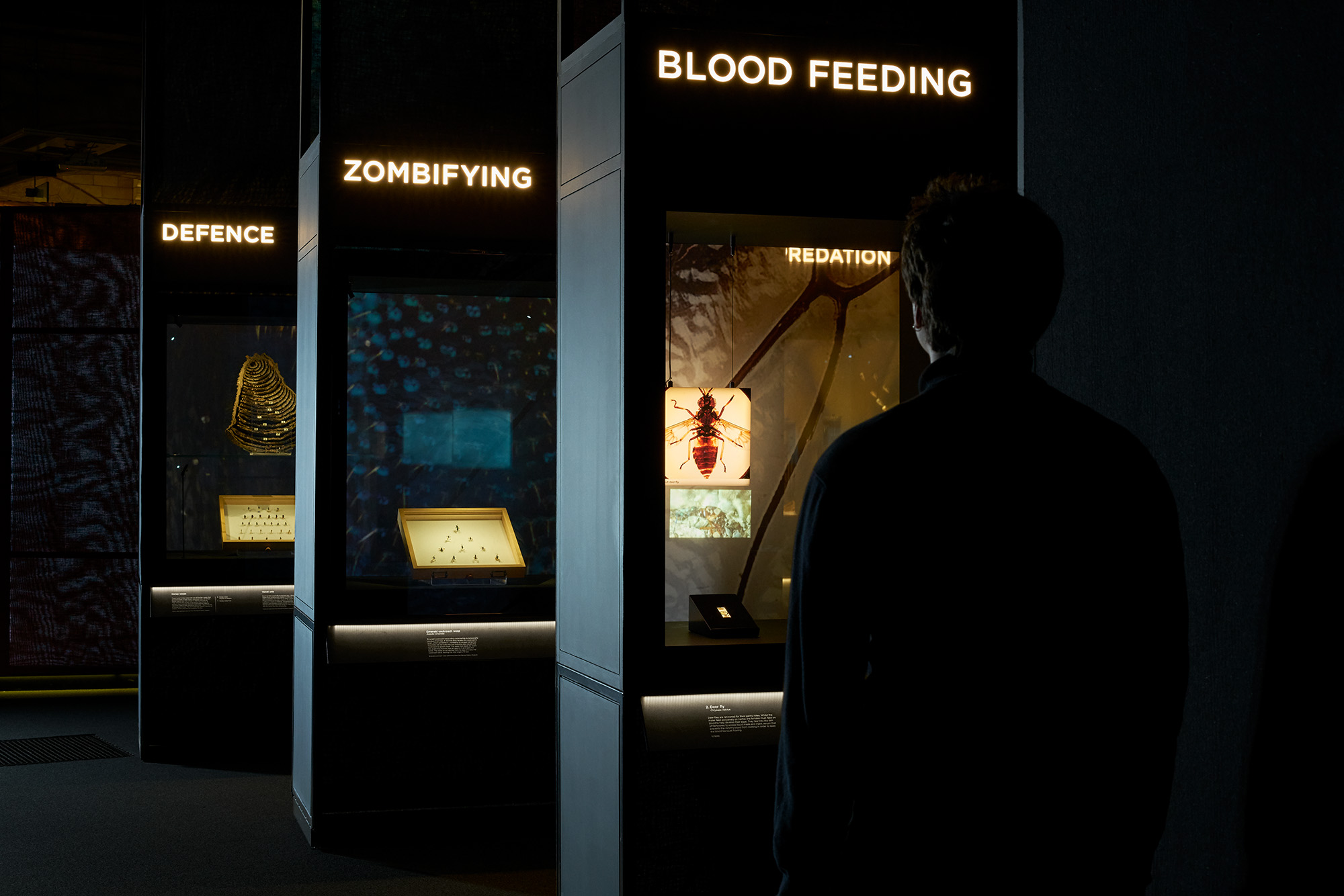 Venom, Killer and Cure Exhibition design, Natural History Museum London, 2017 Venom explores our fear and fascination with nature's most deadly cocktails. The exhibition is organised into three sections designed as distinct immersive experiences. Our organic design approach reflects venom fluidity when spread through the body. Translucent materials create a skin effect and convey its fragility and our vulnerability facing venom and its power. An eerie atmosphere is also achieved by playing with large scale photography focussed on skin textures. Integrated infographics help visitors to understand the mysteries of venom by turning complex information into simple graphic explanations. Project completed with Drinkall Dean