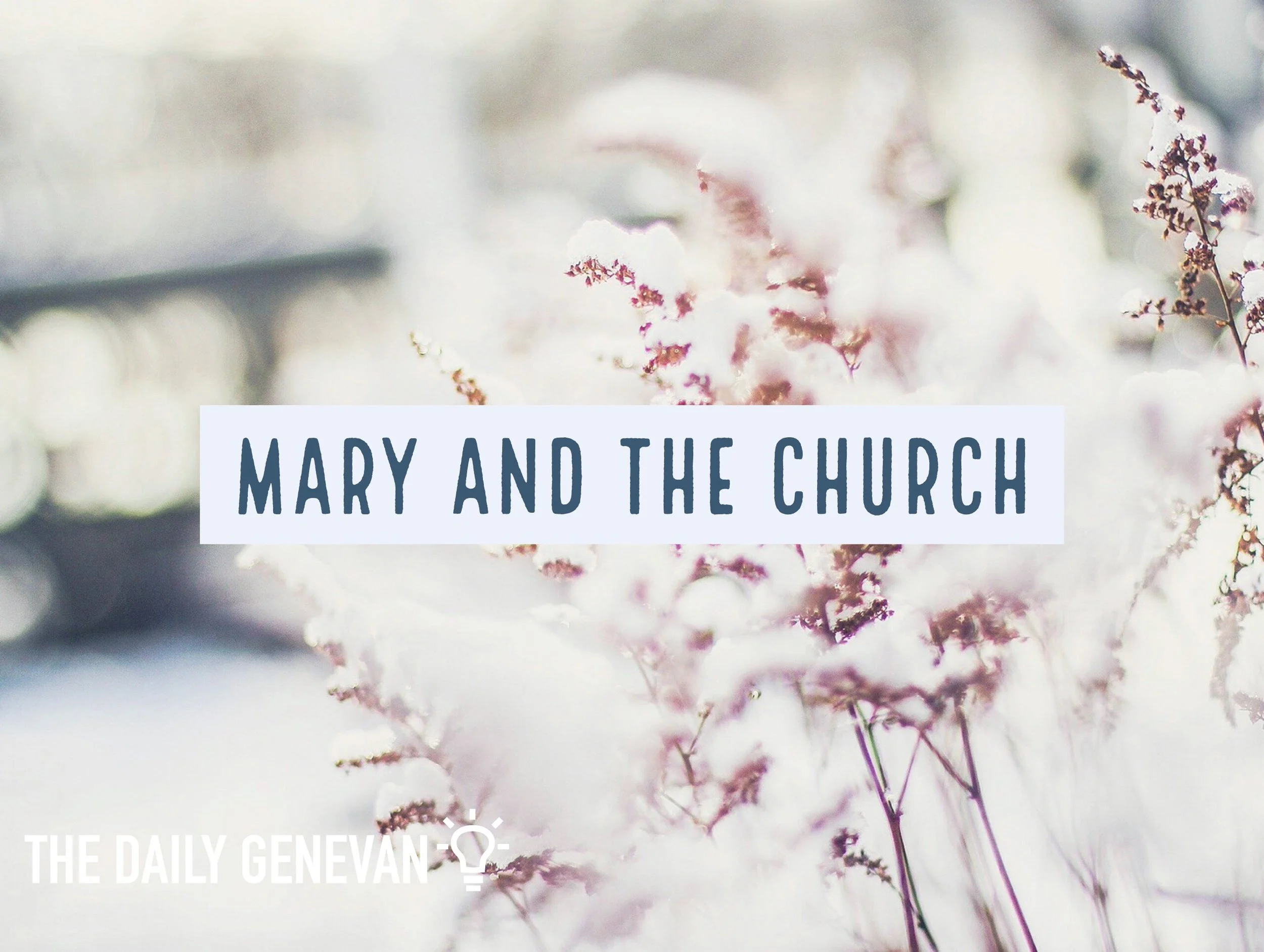 Mary And The Church