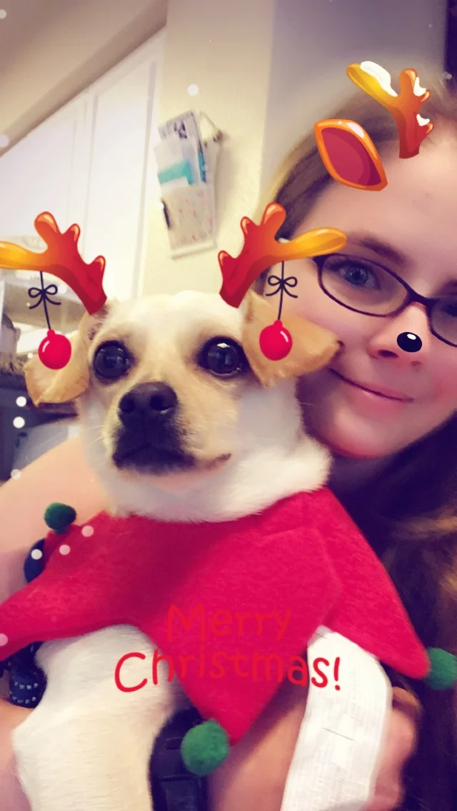 Holidays 2018