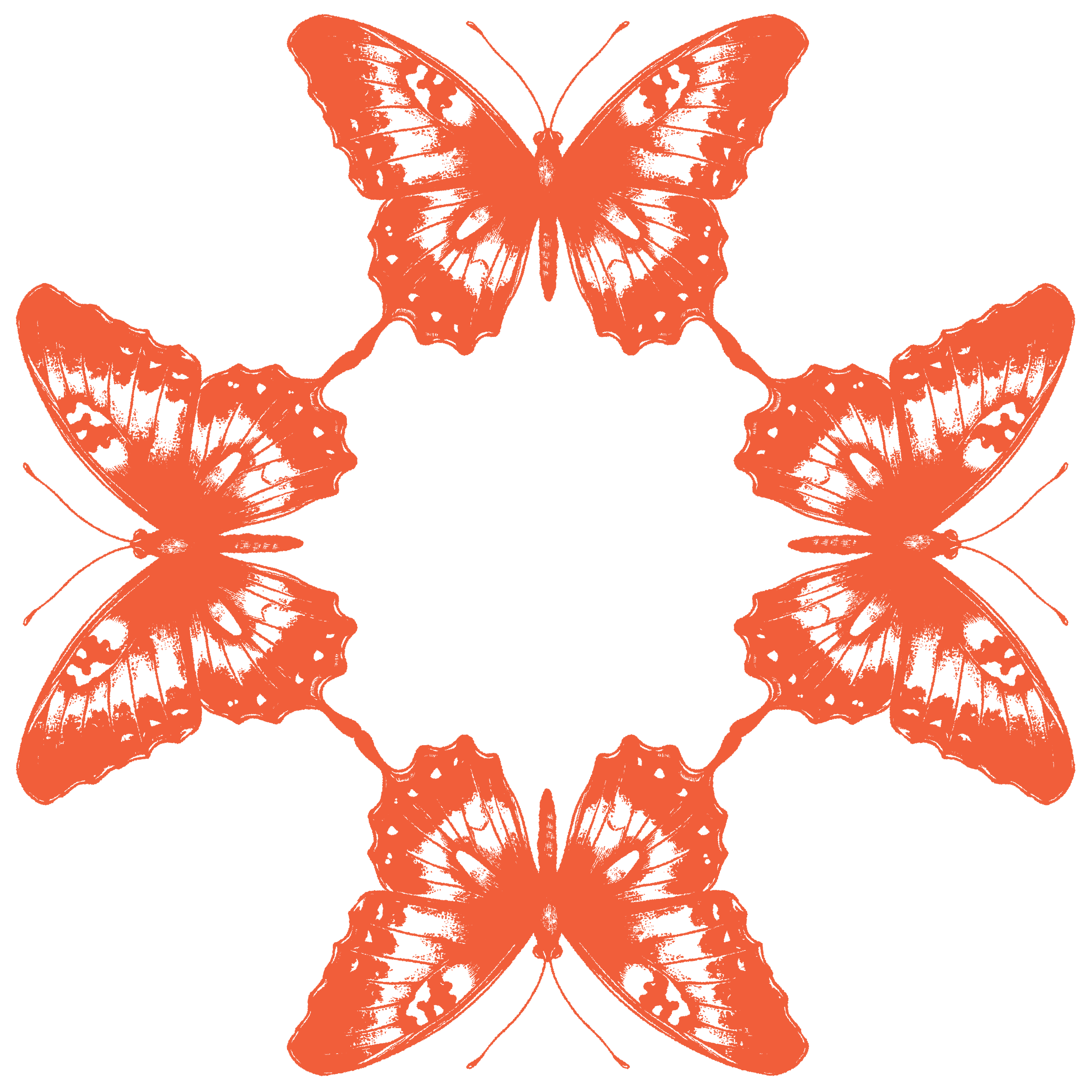 butterfly-orange.png