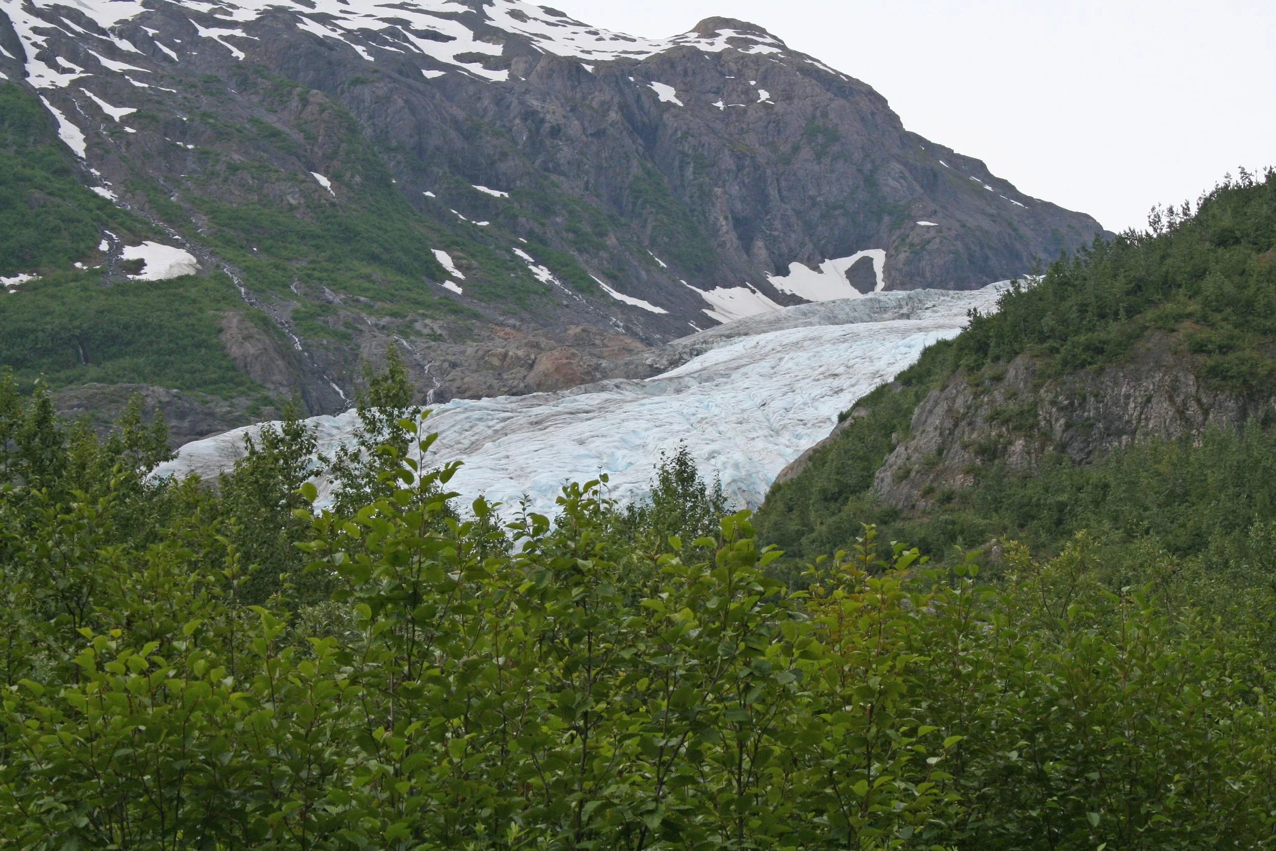 IMG_9165.JPG