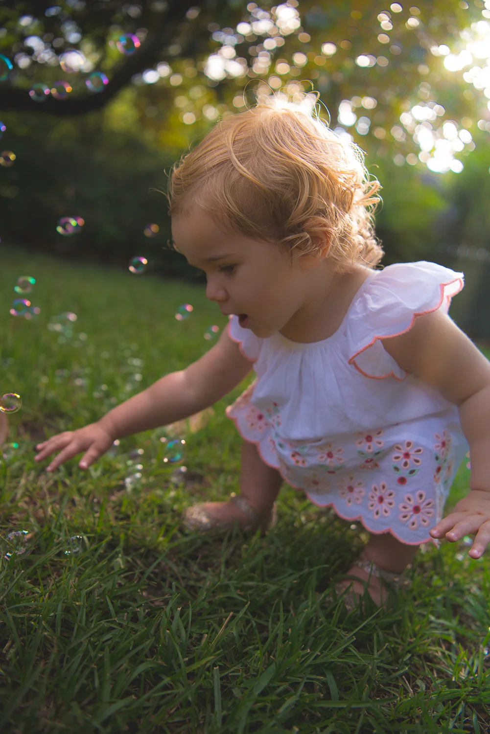 _DSC1018website.jpg