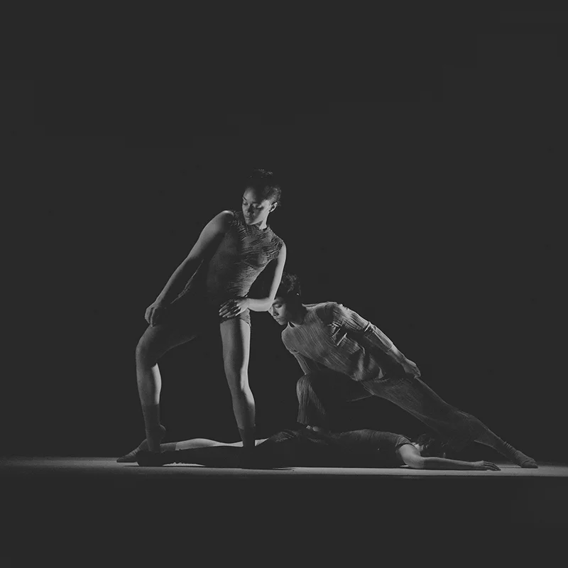 Tu Tu / 涂图