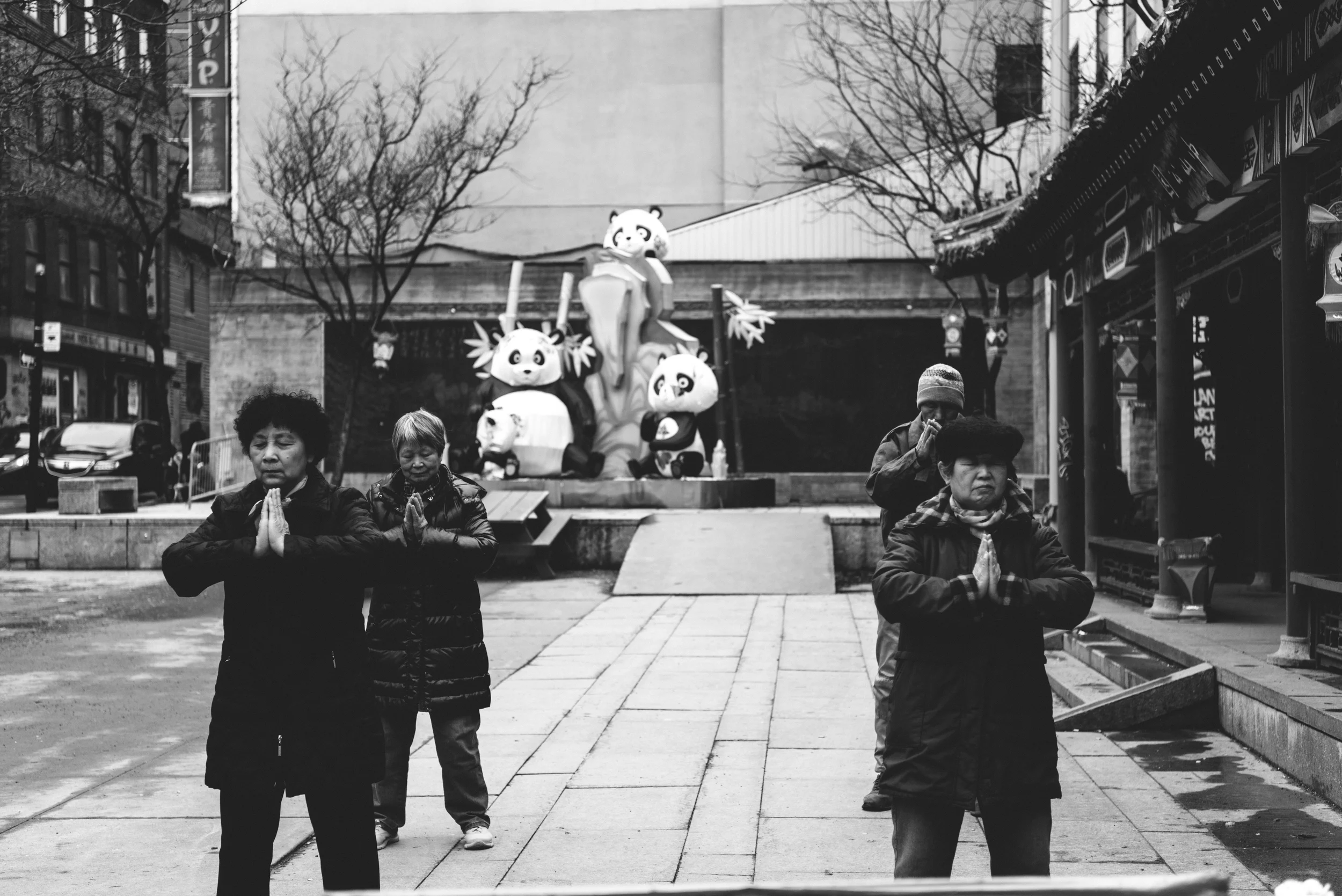 panda_.jpg