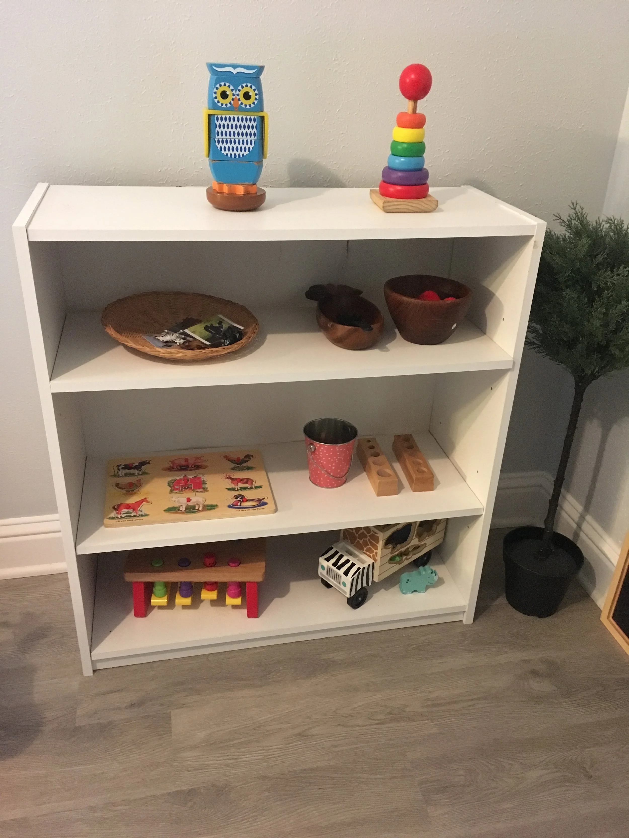 Annabelle's Shelves: 18 Months