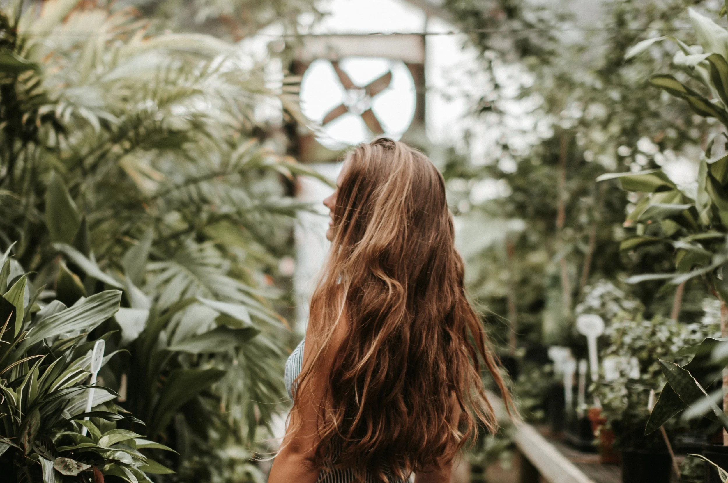 s-a-r-a-h-s-h-a-r-p-756118-unsplash.jpg