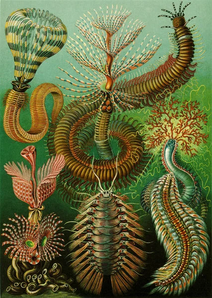 The Green Room
