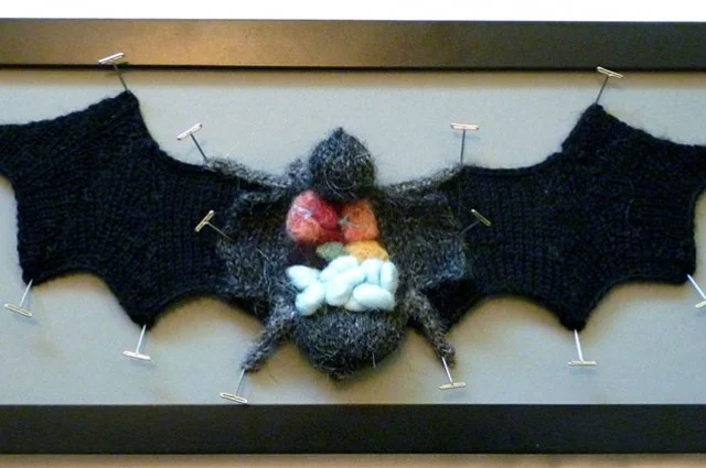 knit-animal-dissection-anatomy-emily-stoneking-aknitomy-2