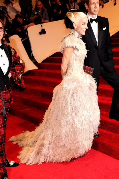 54bc08be16877_-_hbz-100-best-dresses-2011-daphne-guinness