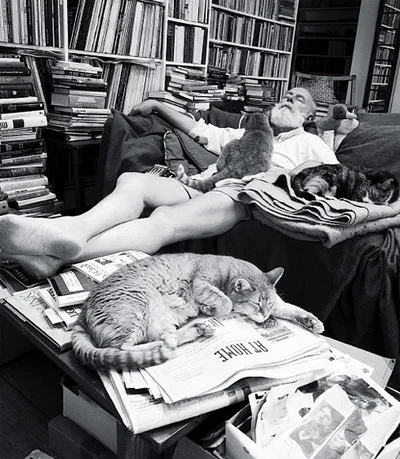 edward-gorey-kitties