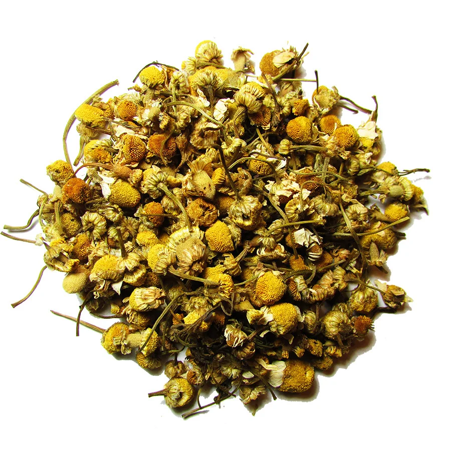 Egyptian_Chamomile