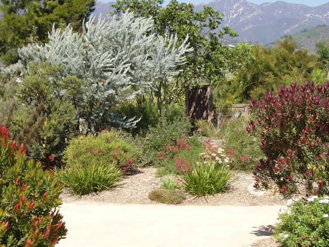 seaside_Gardens-1