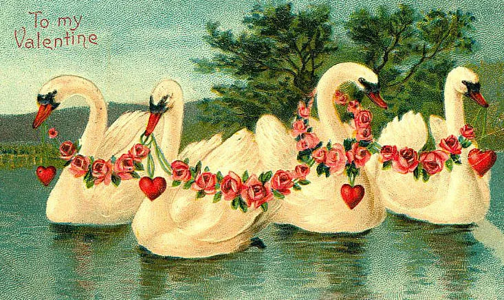 Miss Havisham's February Appointments