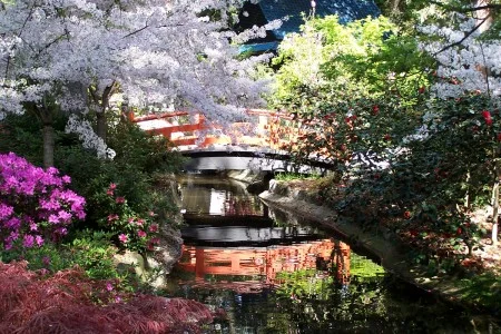 Japanese-Garden-in-Spring-by-John-Stanley-450x300.jpg