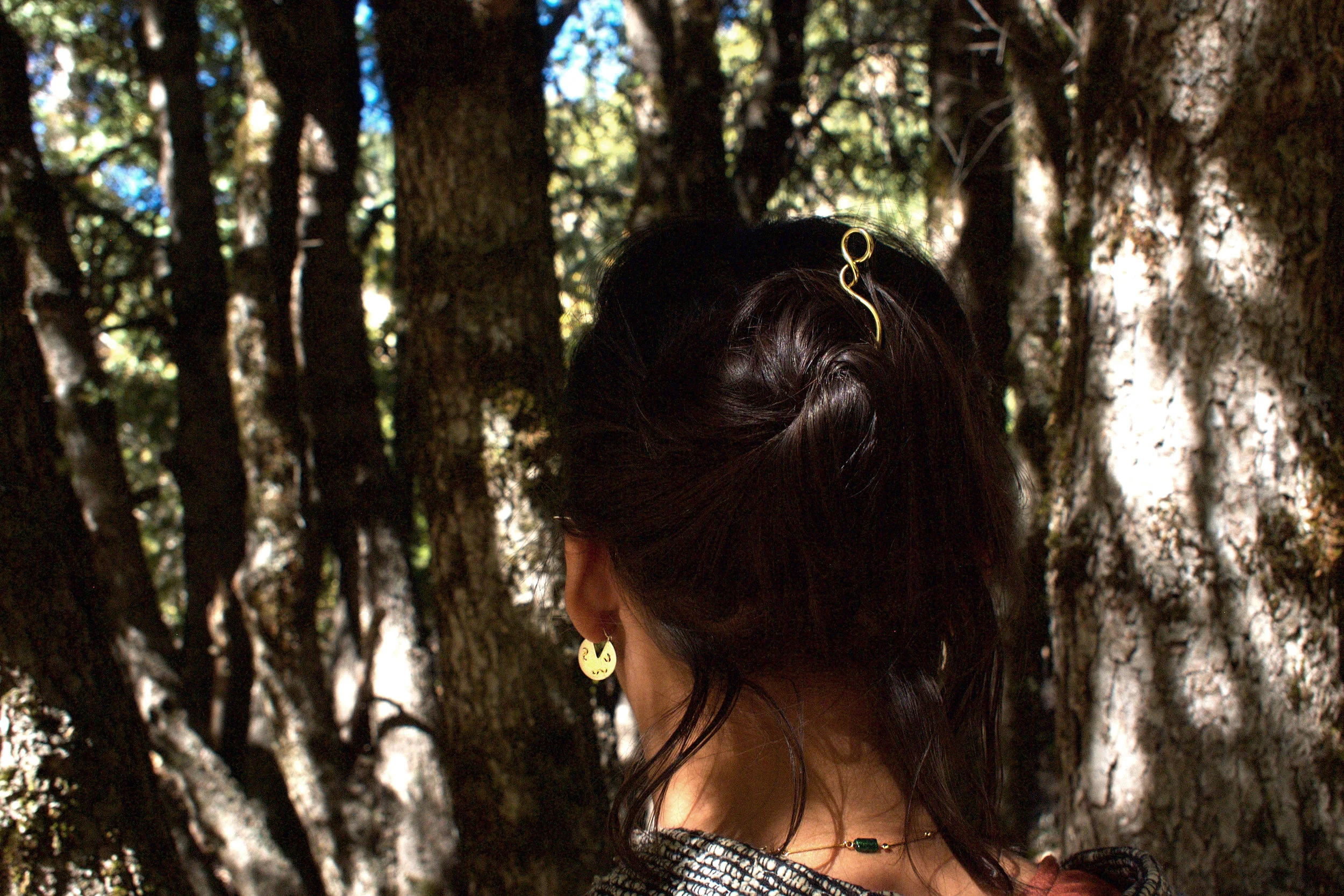 tuning fork in trees.jpg