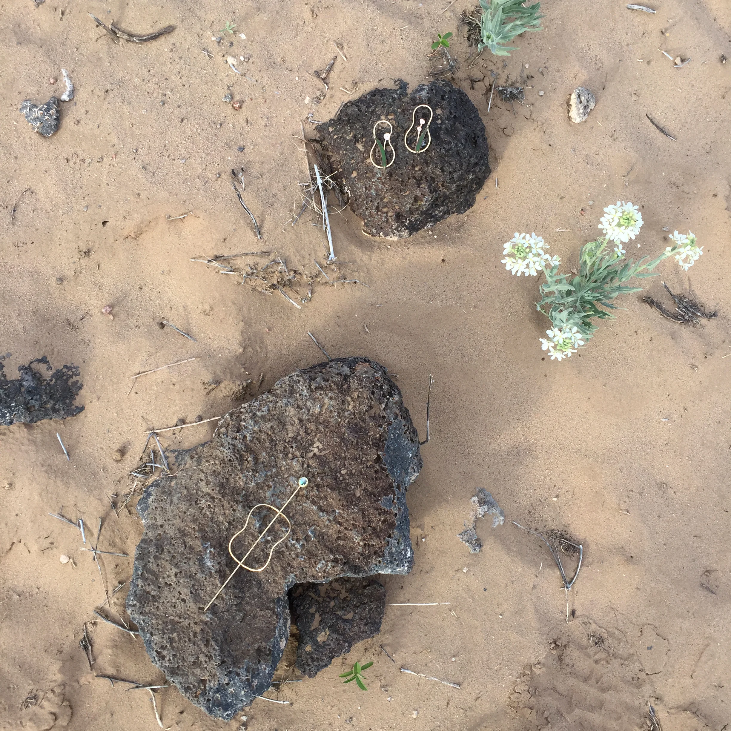 abalone pin and garden gourads still.JPG