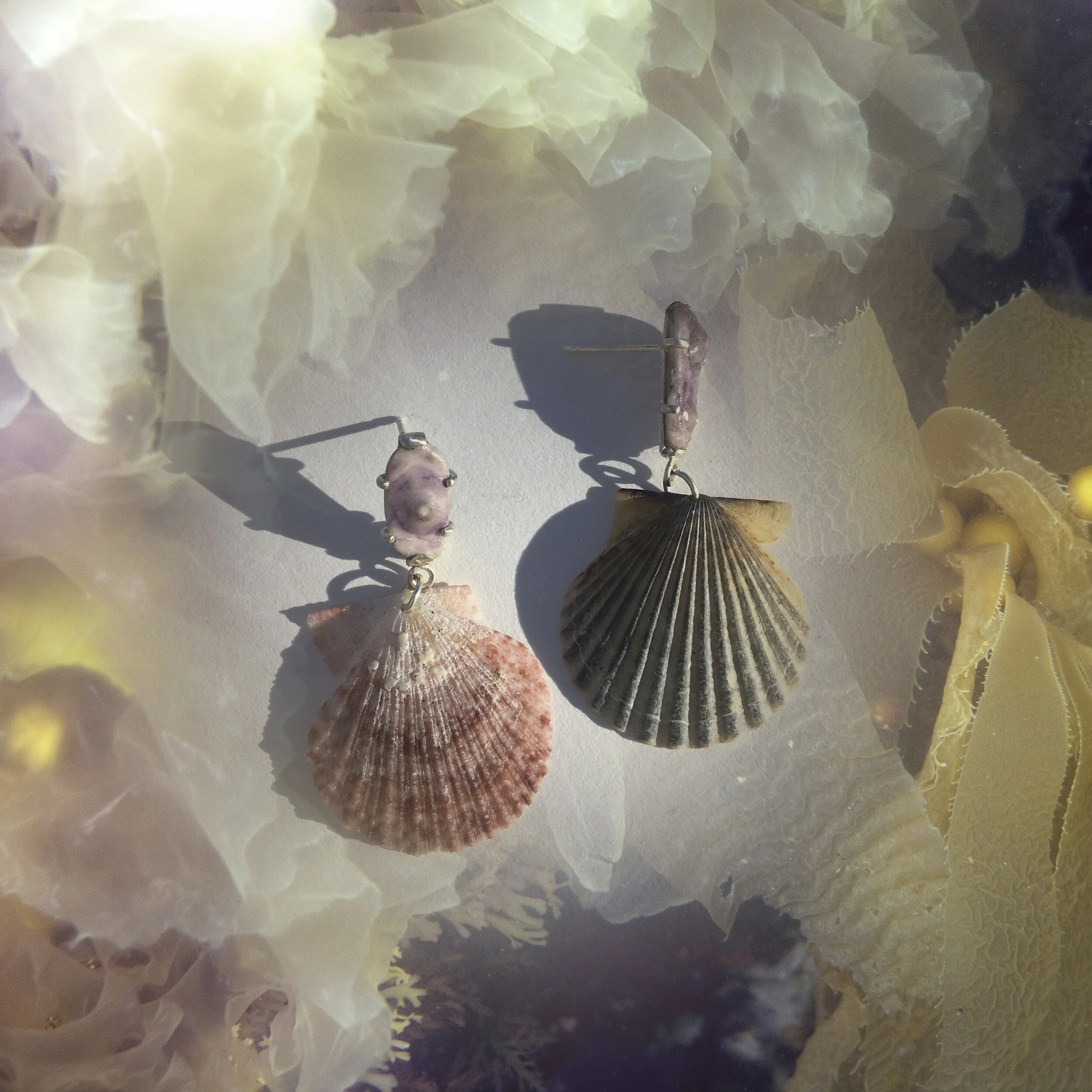 Scallop Shell Earrings - SIRENA COLLECTION 2020