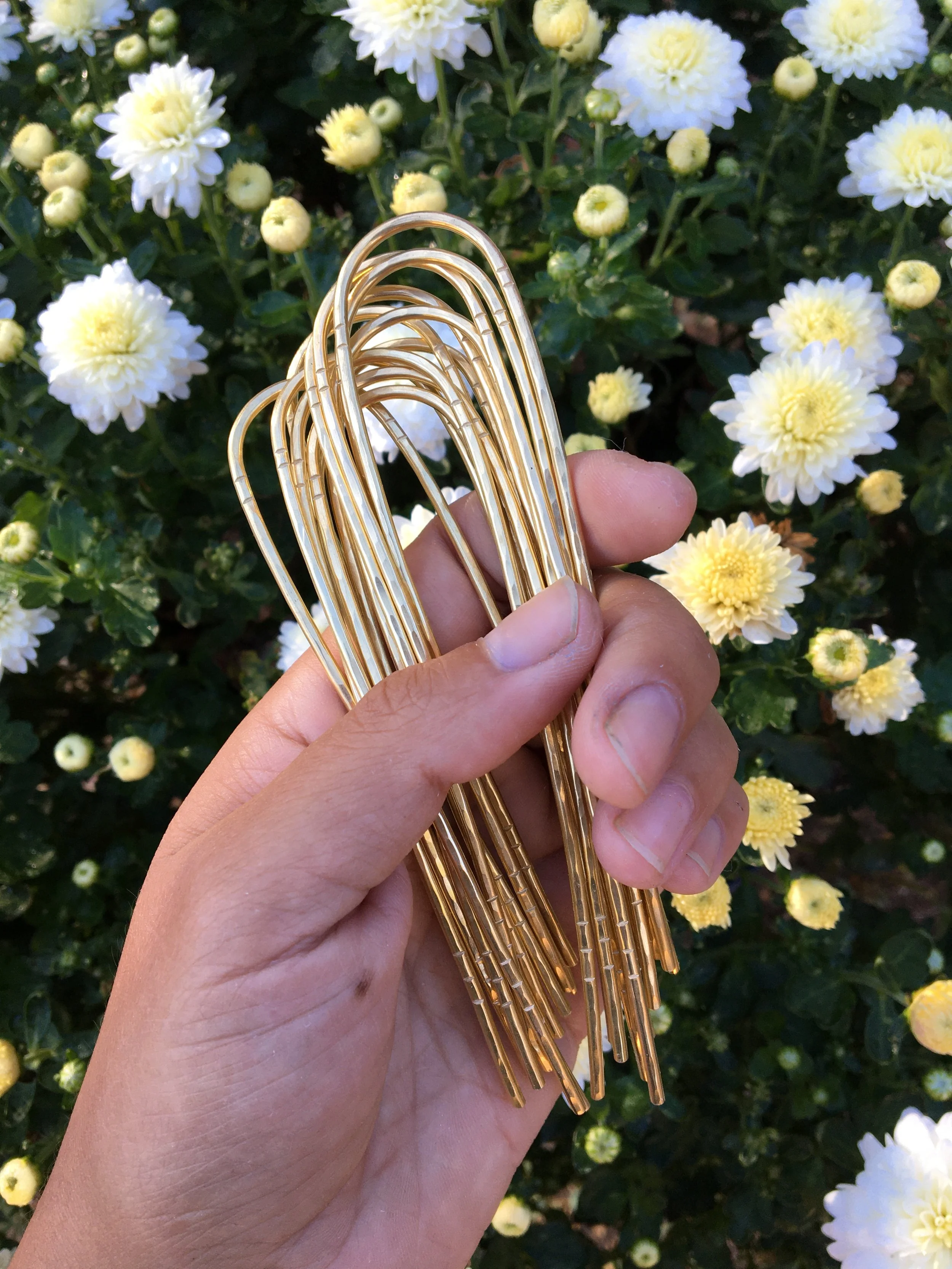 Classic hairslides.JPG