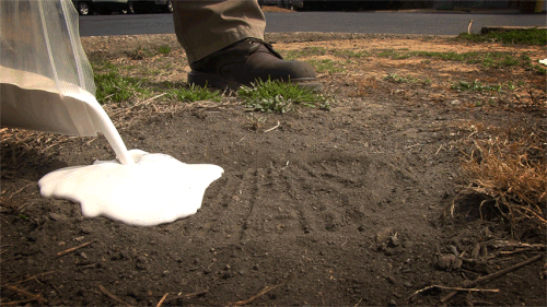 Shoe Mold Tutorial.gif