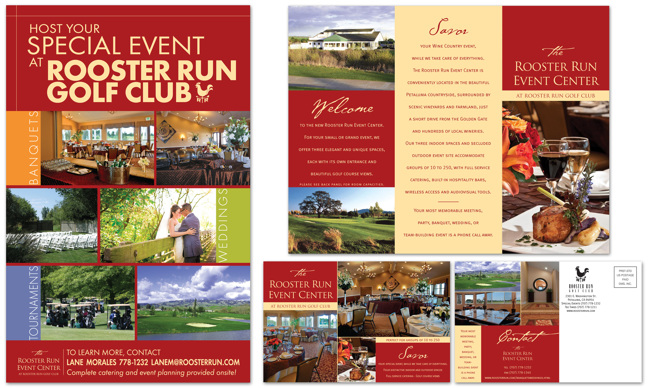 Poster, Brochure & Post Card | Writing & Design