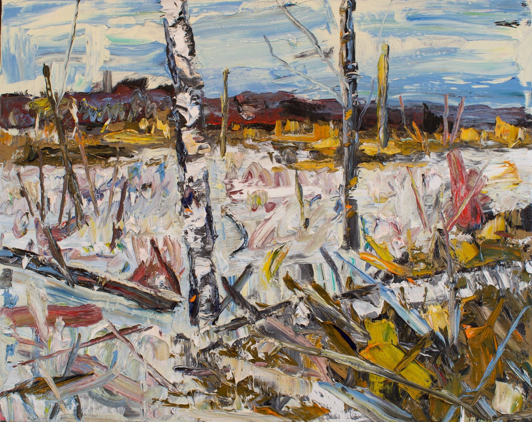 wetland off temple hill road.JPG