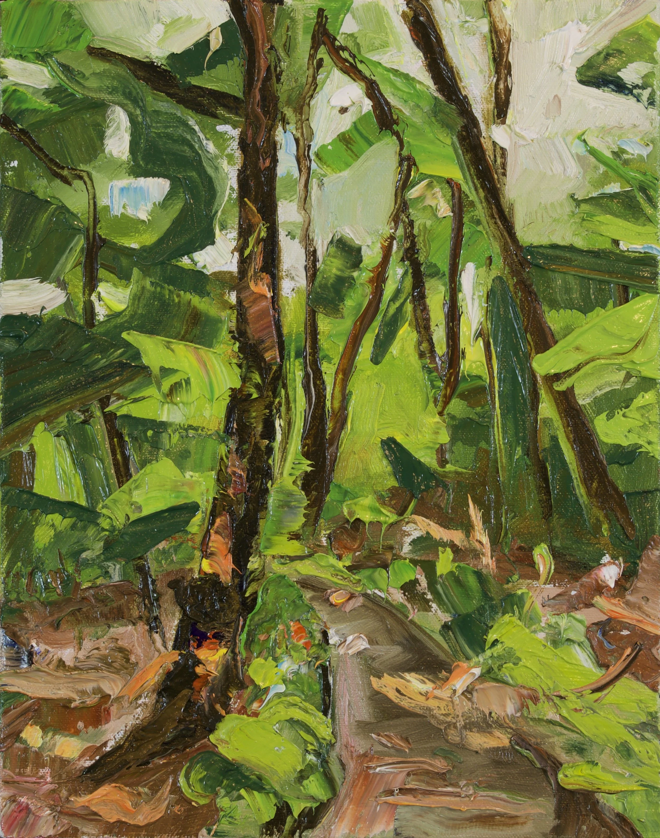 Black Rock Forest