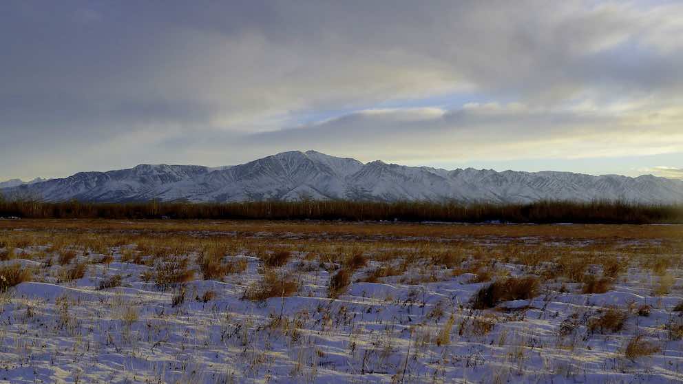 P1050343 copy low.jpg