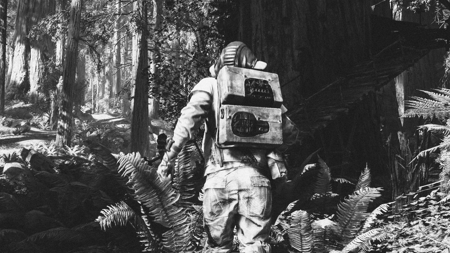 I was embedded with the Rebels. They had a very solid operation going on. A recon captain was showing me around, but I didn't even get to start my tour. Everyone started scuffling around and I could hear a lot of shouting.