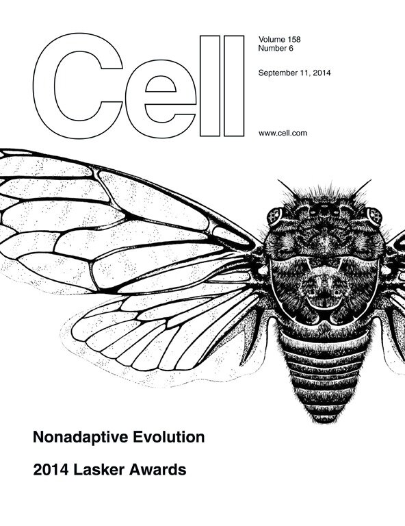 cicada_cell_cover.jpg