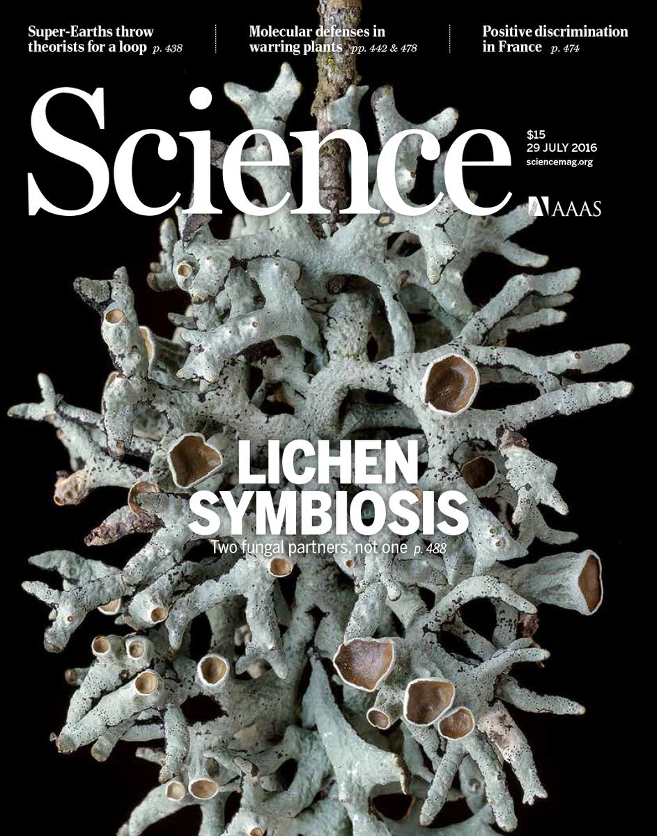 science_cover.jpg