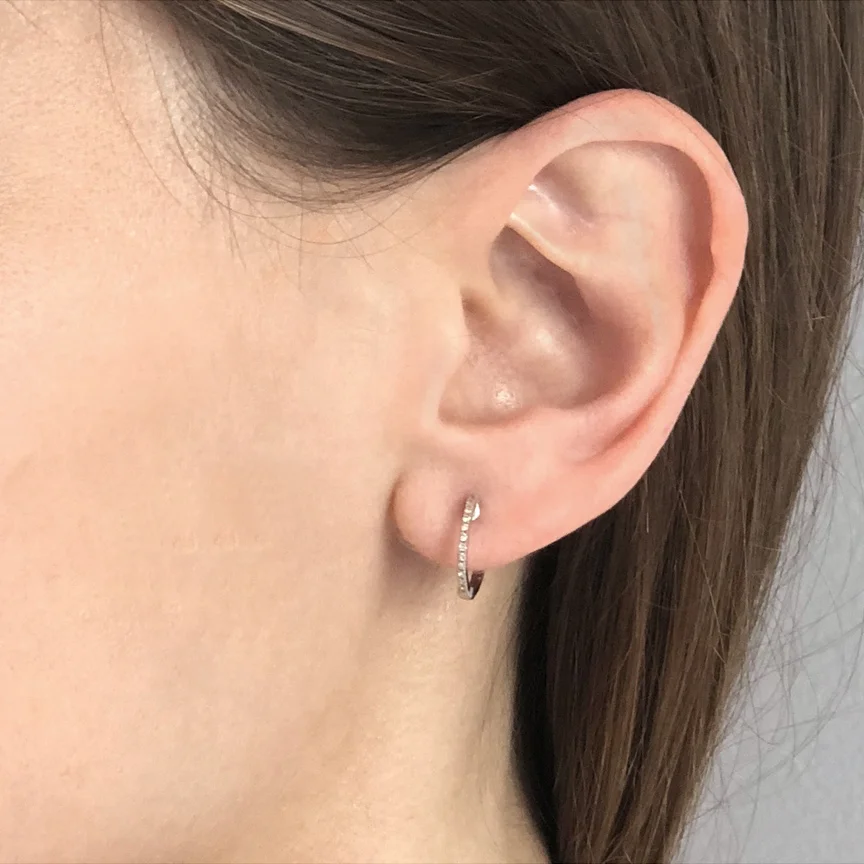 Pave Huggie WG Hoops.JPG