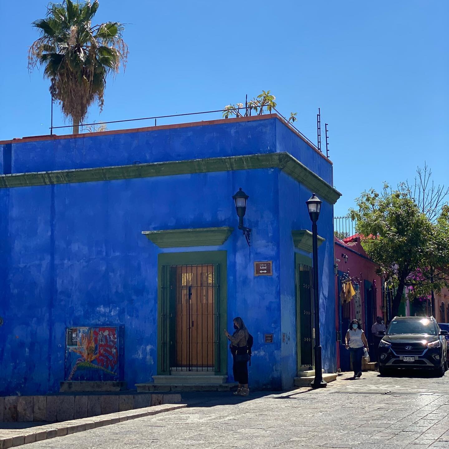 Mexico bursts with color, scents of fresh flowers, delicious spices, bright sunlight and light winds. Oaxaca city keeps the senses alive, as does all of Mexico. 
.
.
.
#vivamexico #oaxacacity #travelinspiration #visitmexico #inspiration #colorlove #d