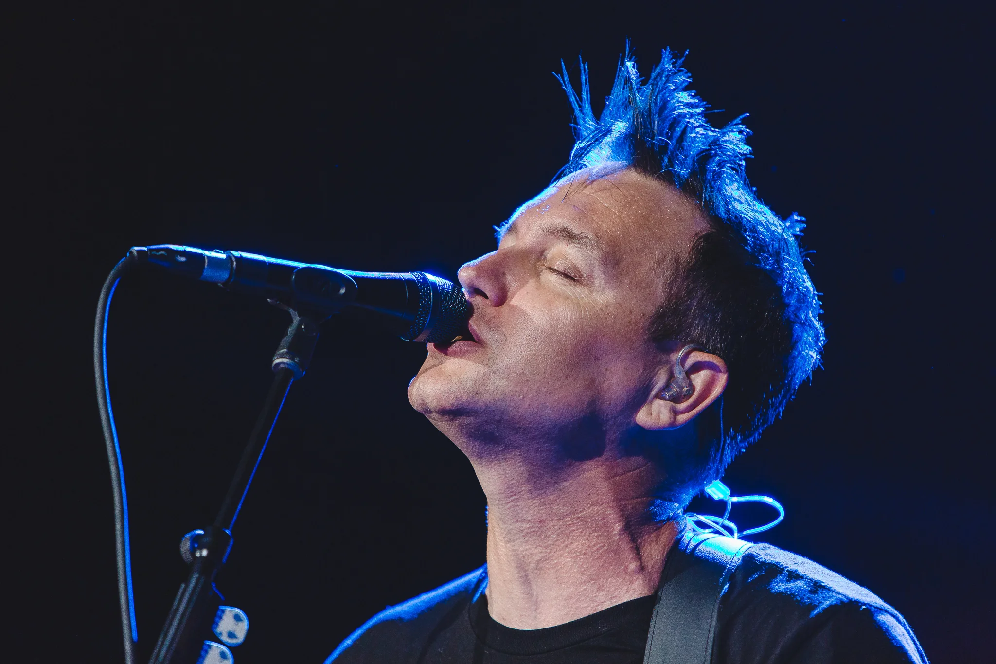 MARK HOPPUS // BLINK 182